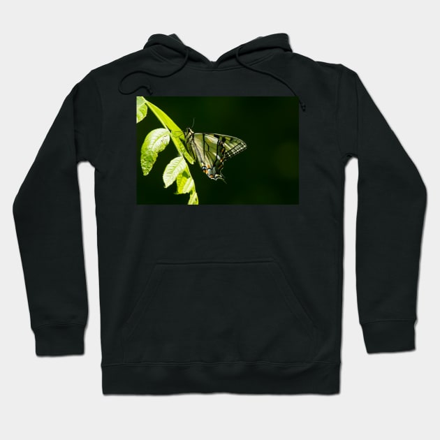 Tiger In The Woods Hoodie by EugeJ